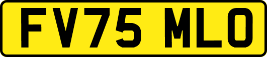 FV75MLO