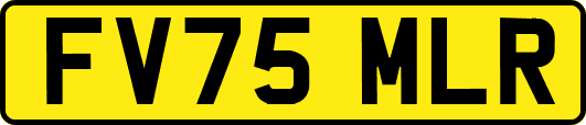FV75MLR