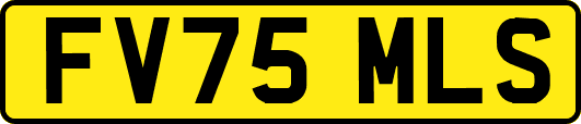 FV75MLS