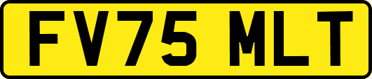 FV75MLT