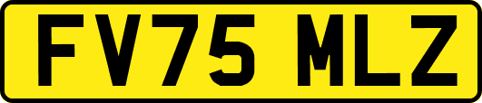 FV75MLZ