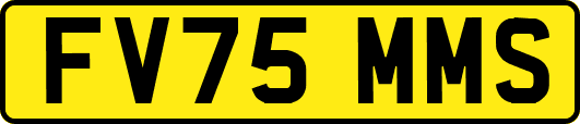 FV75MMS