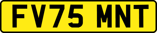 FV75MNT