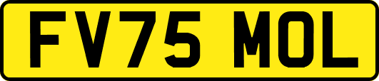 FV75MOL