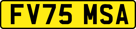 FV75MSA