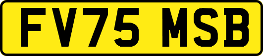 FV75MSB