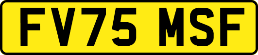 FV75MSF