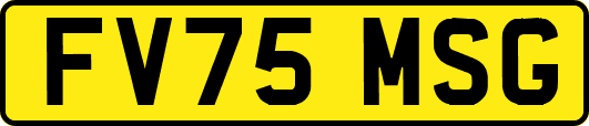 FV75MSG