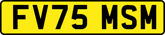 FV75MSM
