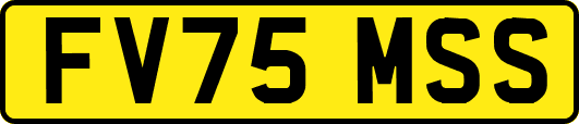 FV75MSS