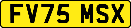 FV75MSX