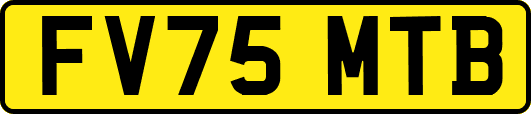 FV75MTB