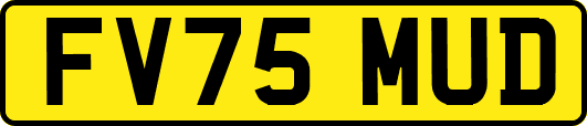 FV75MUD