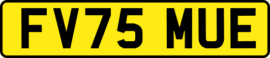 FV75MUE