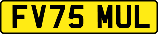 FV75MUL