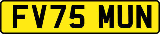 FV75MUN
