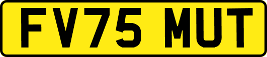 FV75MUT