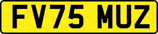 FV75MUZ