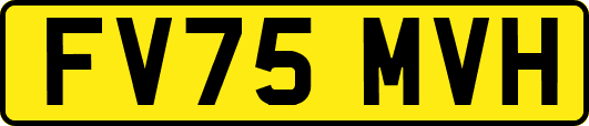 FV75MVH