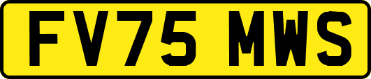 FV75MWS