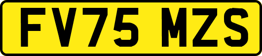 FV75MZS