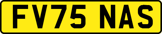 FV75NAS
