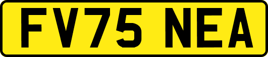 FV75NEA