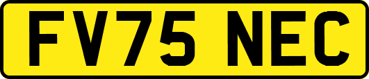 FV75NEC