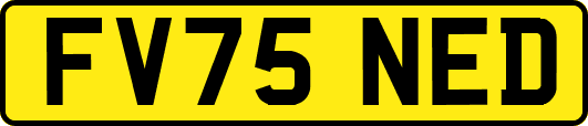 FV75NED