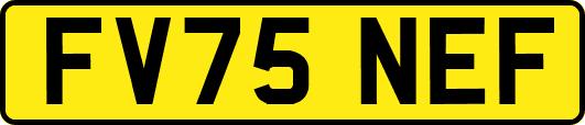FV75NEF