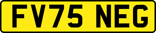 FV75NEG
