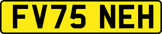 FV75NEH