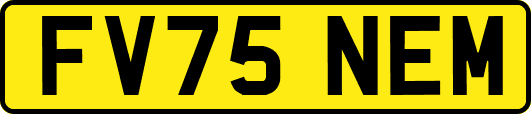 FV75NEM
