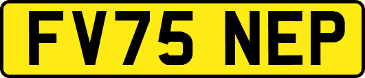 FV75NEP