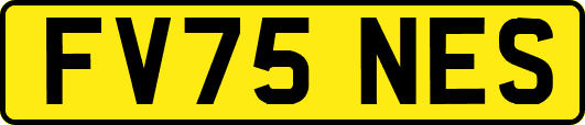 FV75NES
