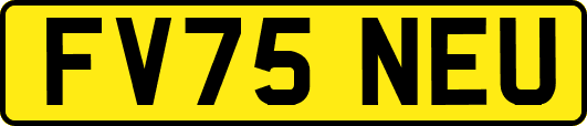 FV75NEU