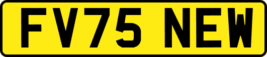 FV75NEW