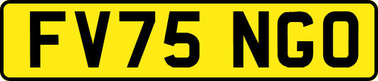 FV75NGO