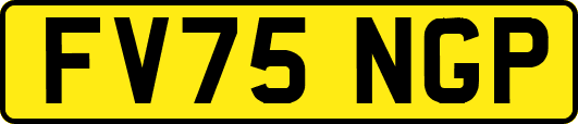 FV75NGP