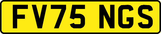 FV75NGS