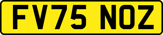 FV75NOZ