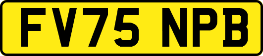 FV75NPB
