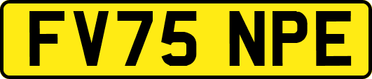 FV75NPE