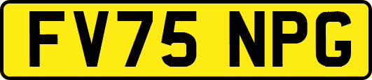 FV75NPG
