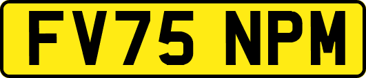 FV75NPM