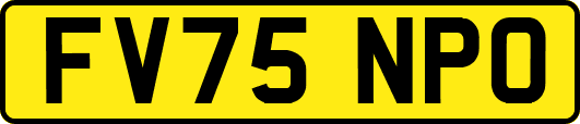 FV75NPO