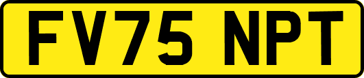 FV75NPT