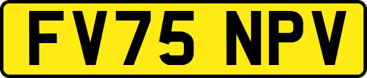 FV75NPV