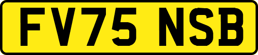 FV75NSB