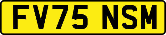 FV75NSM